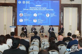 Mobilizing private capital through innovative capital market instruments