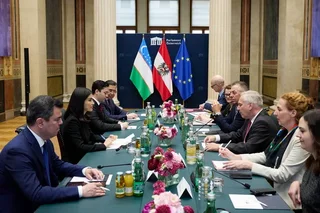 Uzbekistan and Austria Discuss Expansion of Cooperation
