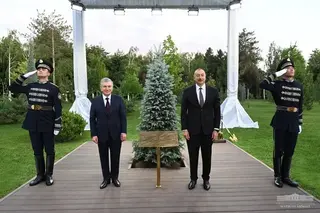 Presidents of Uzbekistan, Azerbaijan plant a tree together as a symbol of new aspirations