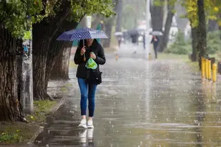 In June, 130% of the average monthly rainfall was observed in Tashkent