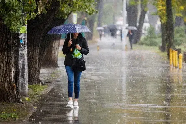 In June, 130% of the average monthly rainfall was observed in Tashkent