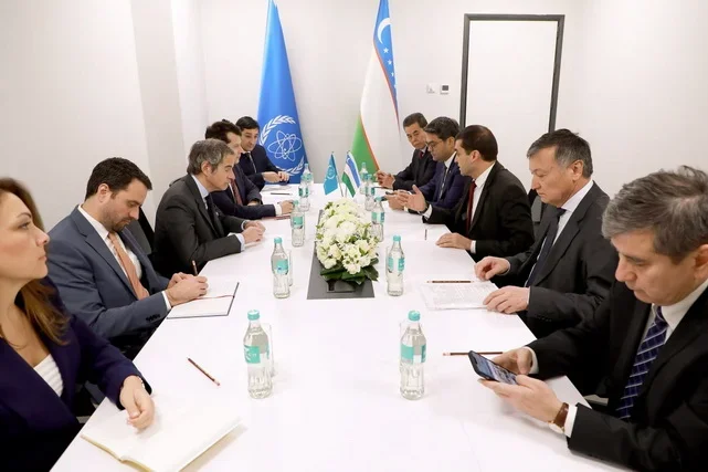 Uzbekistan’s Health Minister holds talks with IAEA Director