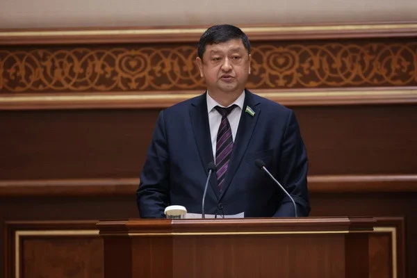 The Senate approves the Law “On the Ratification of the Agreement on the Establishment of the Turkic Investment Fund”