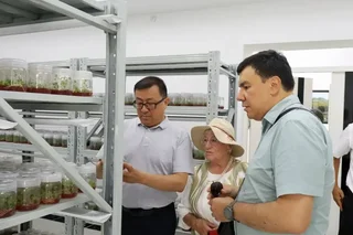 Укрепляется международное сотрудничество по улучшению экологии региона Приаралья