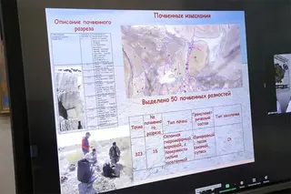 Landscaping of the drained bottom of the Aral Sea: practical work and concrete results