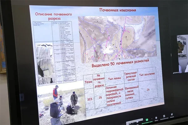 Озеленение осушенного дна Аральского моря: практическая работа и конкретные результаты