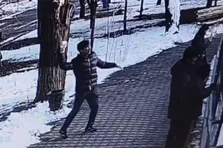 Toshkent zooparkida yo‘lbarslarga tosh qo‘shilgan qor uloqtirgan tashrif buyuruvchilar chiqarib yuborildi