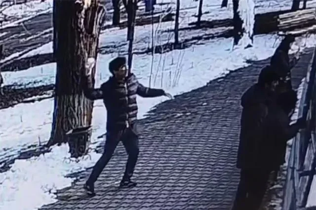 В Ташкентском зоопарке посетителей вывели за бросание снежков с камнями в тигров