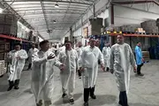 В Наманганской области создадут комплексы для животноводства