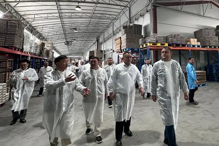 В Наманганской области создадут комплексы для животноводства