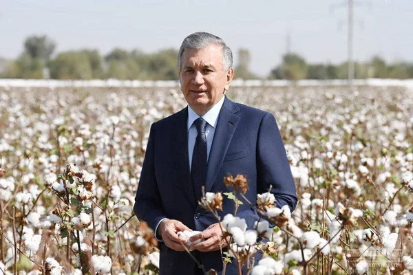 Uzbek President examines the work in the fields, talked with farmers