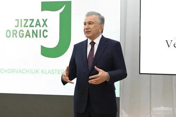 Uzbek President gets acquainted with the activities of the livestock cluster
