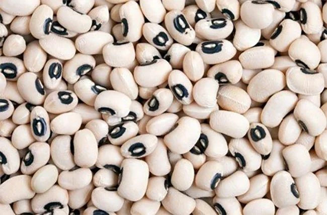 Uzbekistan’s Bean Exports Rise 17% in the First Half of 2025