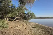 В Узбекистане оценили потенциал восстановления земель в трёх регионах