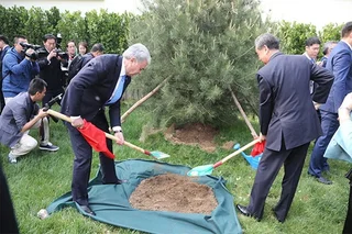 «Лужайку ШОС» заложили в Пекине