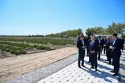 Мирзиёев ознакомился с интенсивным садом в Каракалпакстане