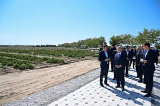 Mirziyoyev Reviews Intensive Orchard in Karakalpakstan