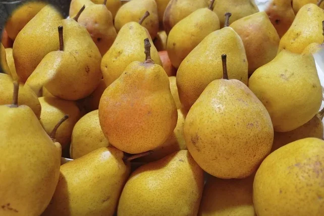 Uzbekistan Exports Nearly 487,000 Tons of Pears Abroad