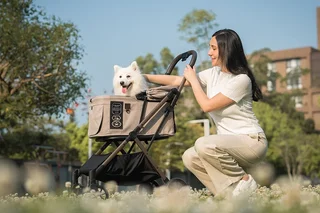 FikaGO Debuts in SoHo, Blending Pet Stroller with Modern Lifestyle Design