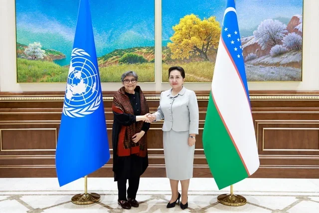 Senate hosts a meeting with UN Secretary-General’s High Representative