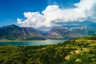 The Zamin Foundation announces the launch of the Yashil zamin environmental project