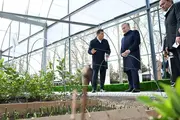 Президент Узбекистана ознакомился с работой «Школы приусадебного хозяйства» в Термезе