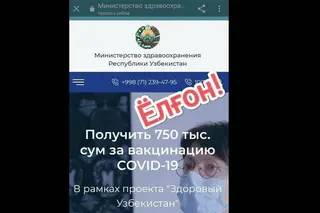 Unknown people created a fake website of the Ministry of Health to “distribute money” to those vaccinated against COVID-19 in Uzbekistan