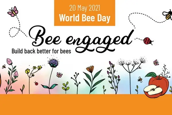 A program to support sustainable development of beekeeping is being implemented in Uzbekistan