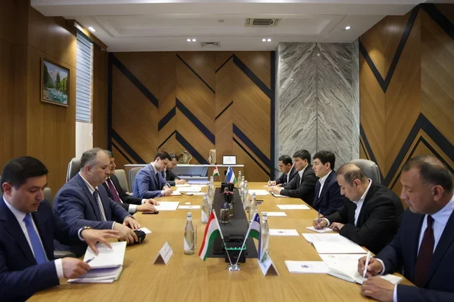 Uzbekistan and Tajikistan Discuss Mining and Metallurgy