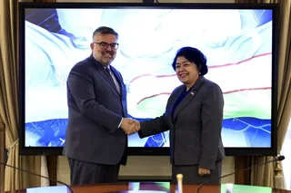 Oliy Majlis Senati sogʻliqni saqlash sohasida UNAIDS bilan hamkorlikni muhokama qildi