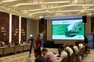 Further work on sustainable forest management is discussed in Tashkent
