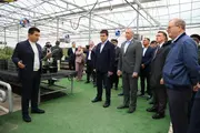 Российские делегации посетили агрокомплекс Quva Agro Star