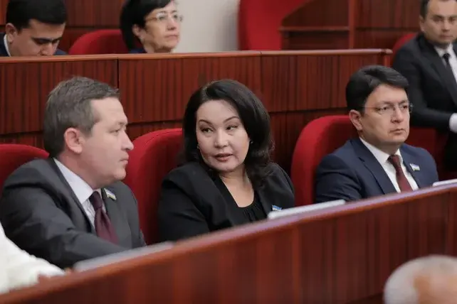 Law on Detention Passed by Deputies in Second Reading