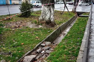 The reason for the flooding of the streets of Tashkent is garbage in ditches and on the roads