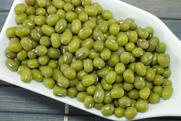 Great Britain expresses interest in importing mung bean from Uzbekistan