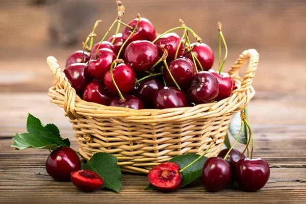 Uzbekistan exports cherries for US$33.3 m
