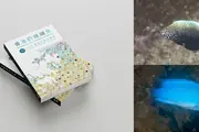 Fantastic Reef Fishes and Where to Find Them:  A New Field Guide Celebrates and Documents Hong Kong’s Reef Fish Diversity with 422 Species