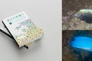Fantastic Reef Fishes and Where to Find Them:  A New Field Guide Celebrates and Documents Hong Kong’s Reef Fish Diversity with 422 Species