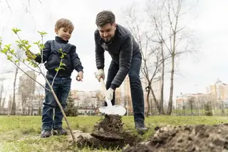 109 officials, who did not fully comply with the requirements for caring for tree seedlings, were fined 311 million soums