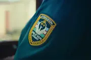 Налоговый комитет Узбекистана обсудил реформы с МВФ