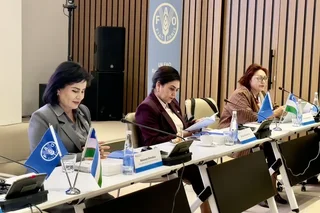 FAO O‘zbekistonda qishloq ho‘jaligi va qishloq hududlarini gender holatini baholash” natijalarini eʼlon qildi