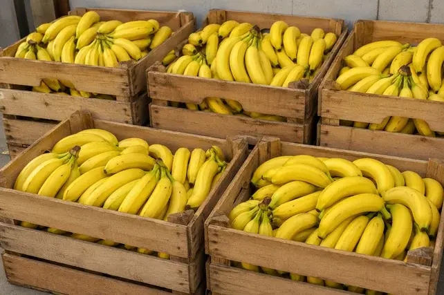 Uzbekistan Banana Imports Rise 44.7% in Q1 2026