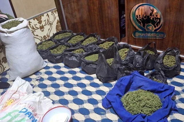 Chiroqchi tumanida fuqaroning uyidan qariyb 21 kg giyohvandlik vositasi olindi