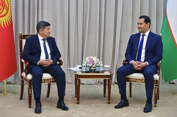 The head of the Cabinet of Ministers of Kyrgyzstan and the Head of the Administration of the President of Uzbekistan discuss topical issues of cooperation