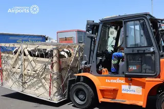 Uzbekistan Airports снизила тарифы на обработку скота