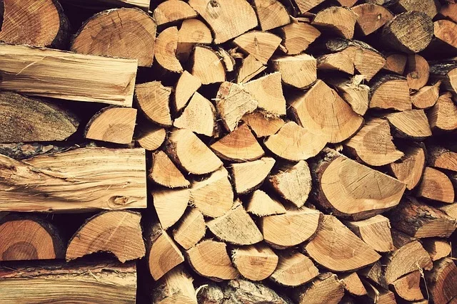 US lumber prices drop: A warning bell for the economy?