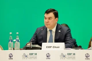 Глобальная конференция ООН завершилась принятием крупного комплекса мер по сохранению мигрирующих видов диких животных