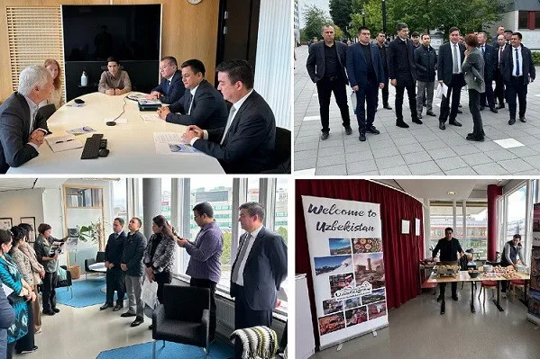 Cooperation between Uzbekistan and Sweden in the field of education is developing
