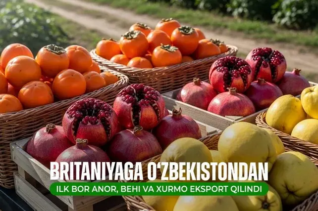 Britaniyaga O‘zbekistondan ilk bor anor, behi va xurmo eksport qilindi