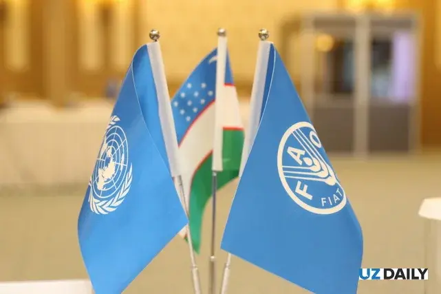 FAO Food Price Index Rises in July on Higher Meat and Vegetable Oil Prices